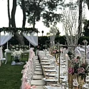 Anadolu Park Kır Düğünü²⁰¹⁸