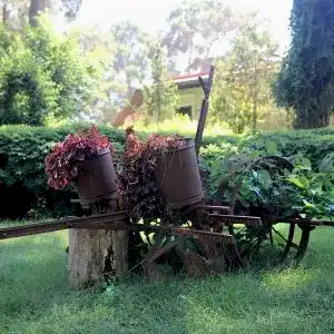 anadolu-park-restaurant-orman