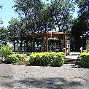 anadolu-park-restaurant-orman-doga